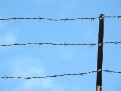 Barbed Wire