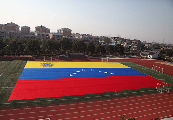 The Common Giant Flags in the Market