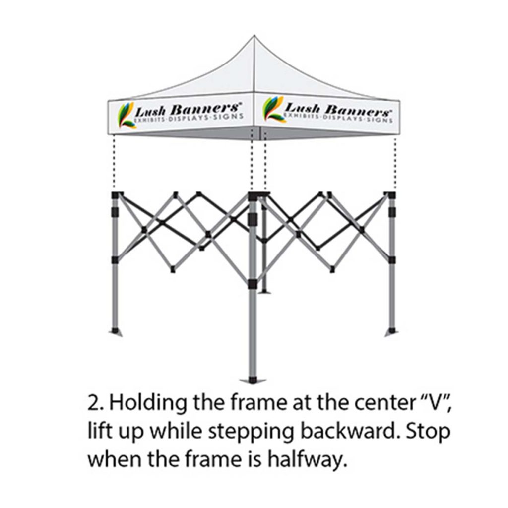 Step 2: Lift and Expand the Frame