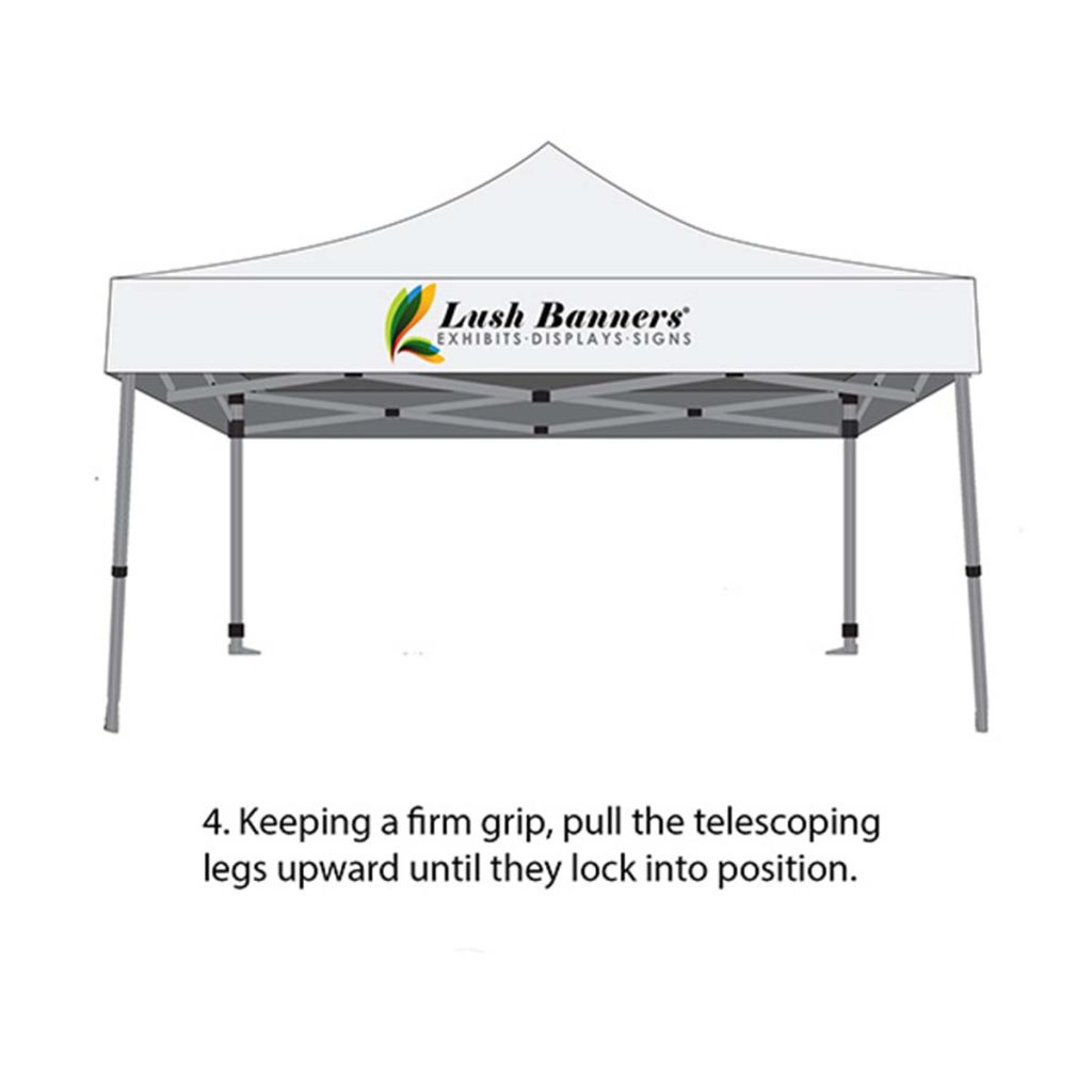 Step 4: Expanding the Frame