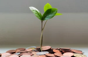 micheile henderson image